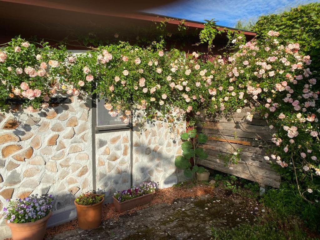 La Maison Du Potager Saint-Racho Екстериор снимка